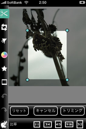 写真編集アプリ Photogene を試す Iphone App Store Macお宝鑑定団 Blog 羅針盤