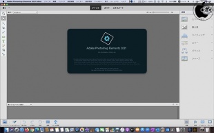adobe photoshop elements 2021 download mac
